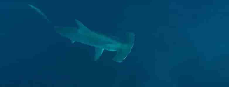 Thumbnail 11 Thumbnail 11