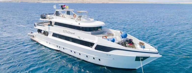 Sea Serpent Serena Dreams - image Sea Serpent Serena Dreams - image