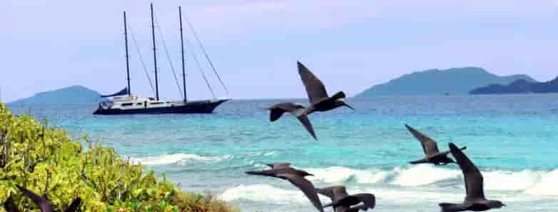 Thumbnail 16 Thumbnail 16