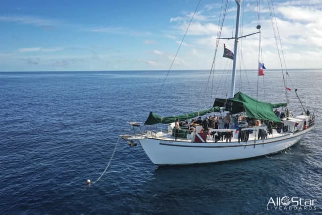 Morning Star Morning Star