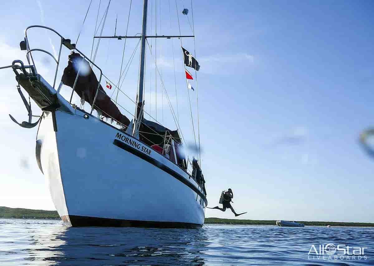 Thumbnail 2 Thumbnail 2