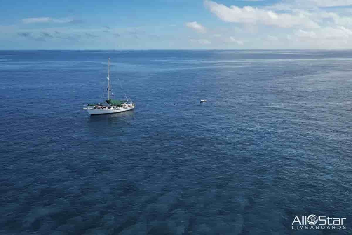 Thumbnail 3 Thumbnail 3