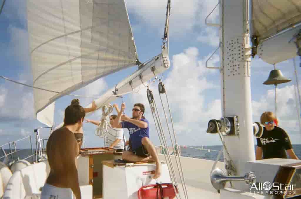 Thumbnail 8 Thumbnail 8