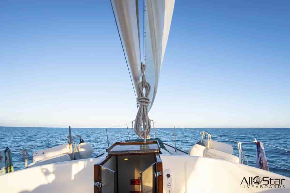 Thumbnail 9 Thumbnail 9