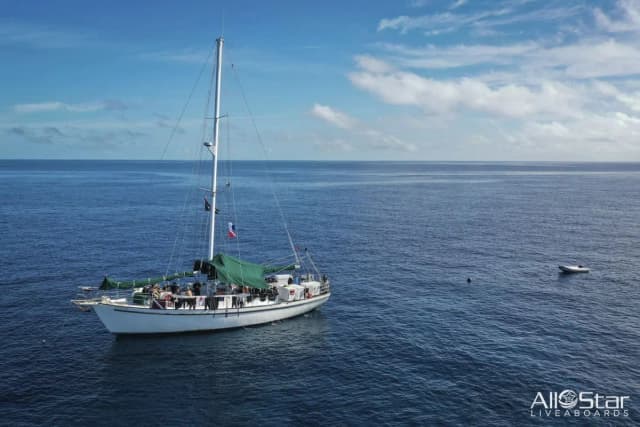 Morning Star Morning Star