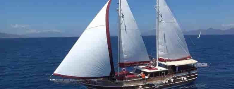 Thumbnail 1 Thumbnail 1