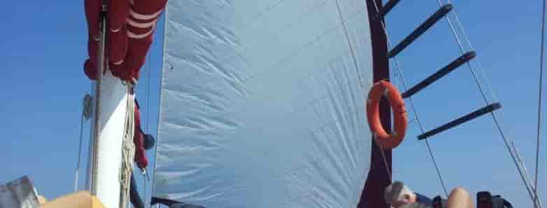 Thumbnail 16 Thumbnail 16