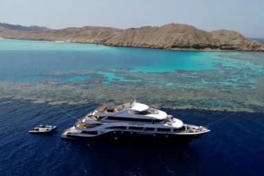 All Star Scuba Scene All Star Scuba Scene