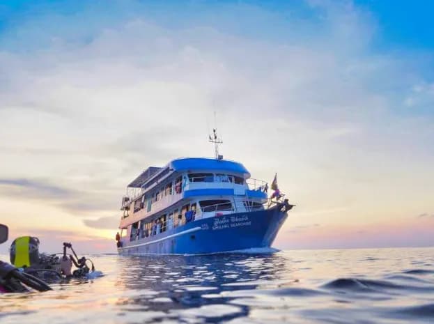 The Smiling Seahorse - image The Smiling Seahorse - image