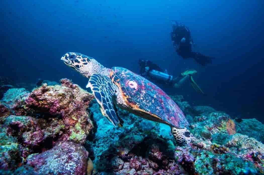 Thumbnail 4 Thumbnail 4