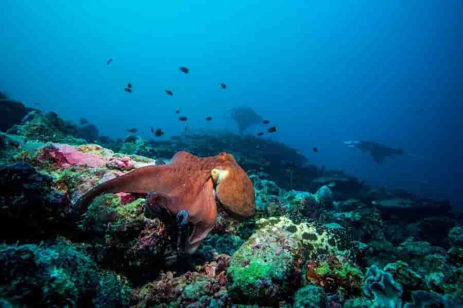 Thumbnail 6 Thumbnail 6