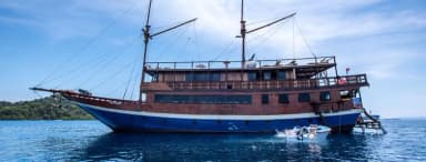 Mola Mola 1 Mola Mola 1