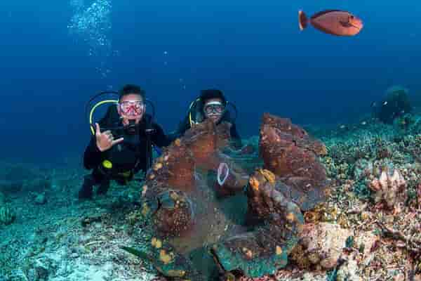 Thumbnail 20 Thumbnail 20