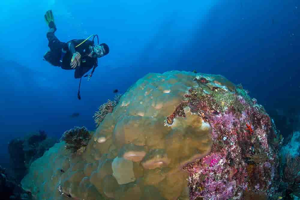 Thumbnail 19 Thumbnail 19