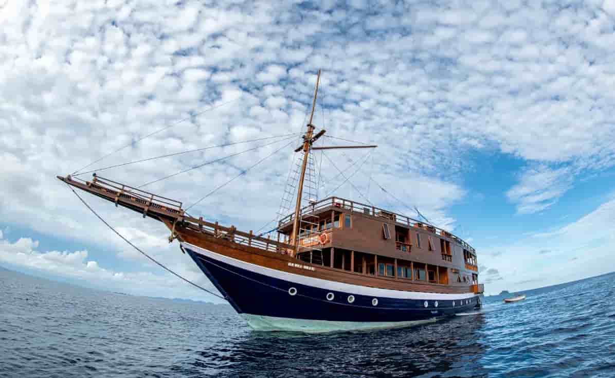 Thumbnail 1 Thumbnail 1