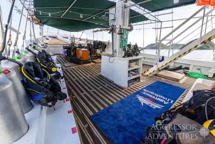 Thumbnail 12 Thumbnail 12