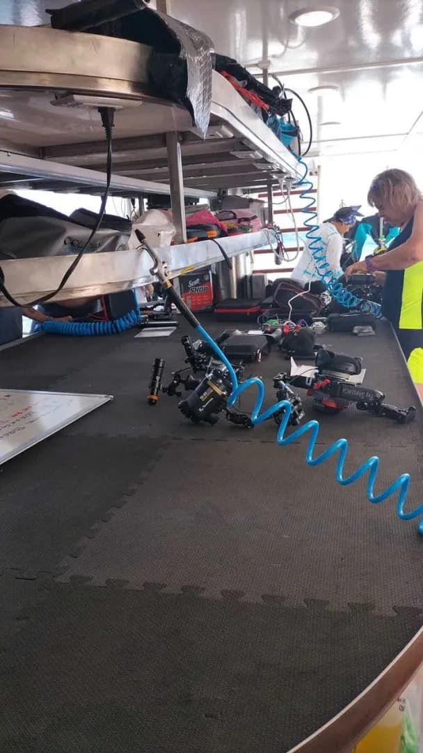 Quino del Mar Quino del Mar