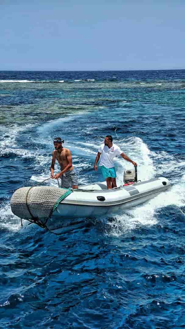 Thumbnail 8 Thumbnail 8