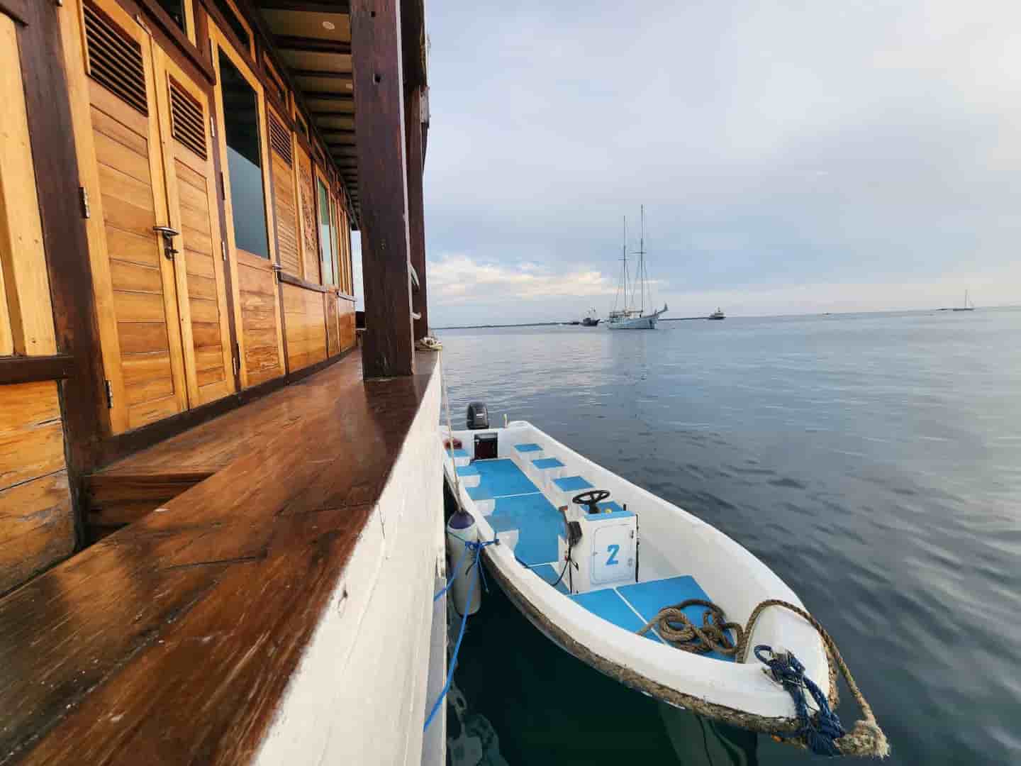 Thumbnail 10 Thumbnail 10