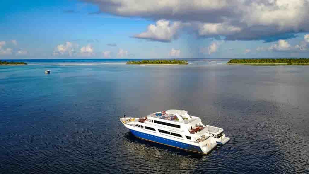 Thumbnail 1 Thumbnail 1