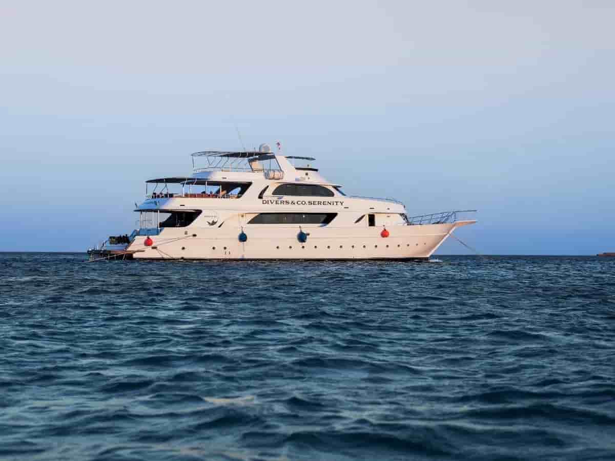 Thumbnail 26 Thumbnail 26