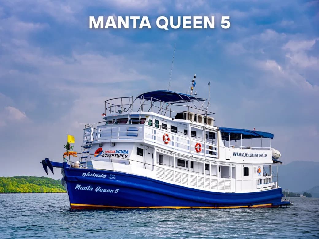 Manta Queen 5 - image Manta Queen 5 - image