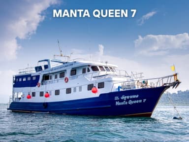 Manta Queen 7 Manta Queen 7