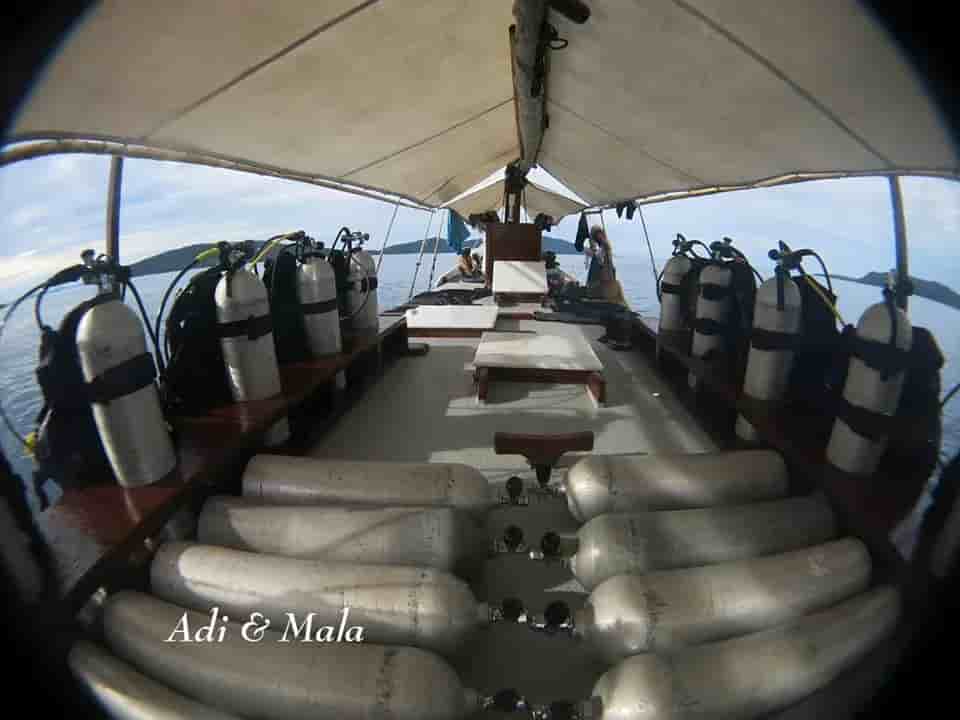 Thumbnail 4 Thumbnail 4