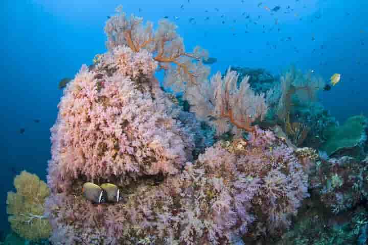 Thumbnail 18 Thumbnail 18