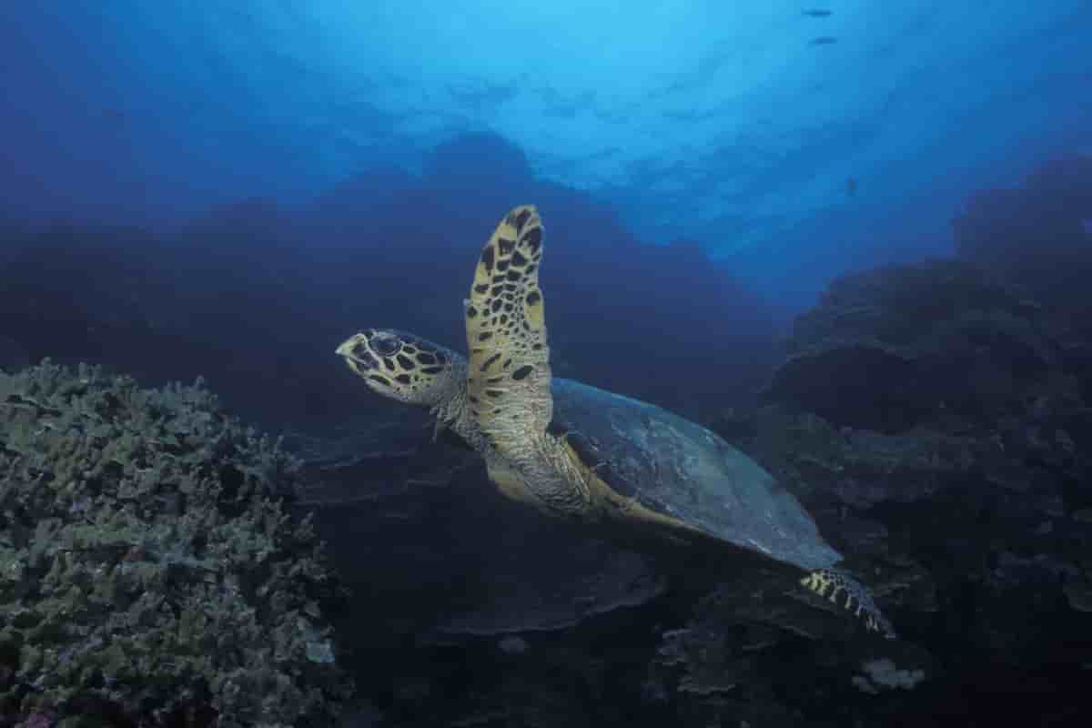 Thumbnail 19 Thumbnail 19