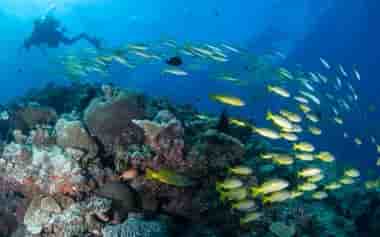 Thumbnail 2 Thumbnail 2