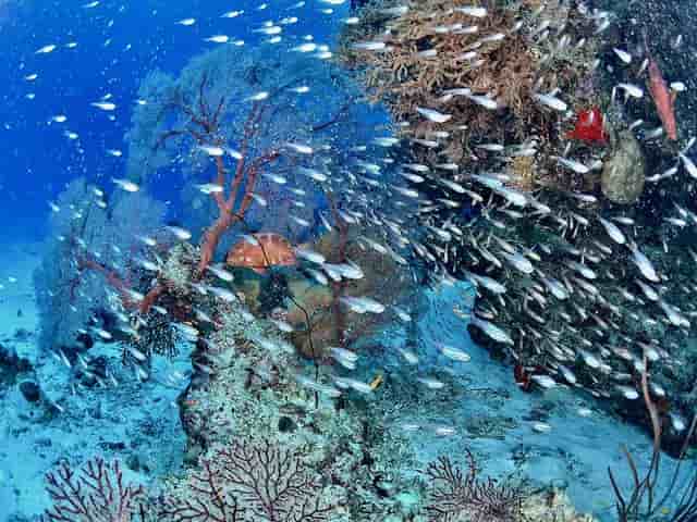 Thumbnail 1 Thumbnail 1