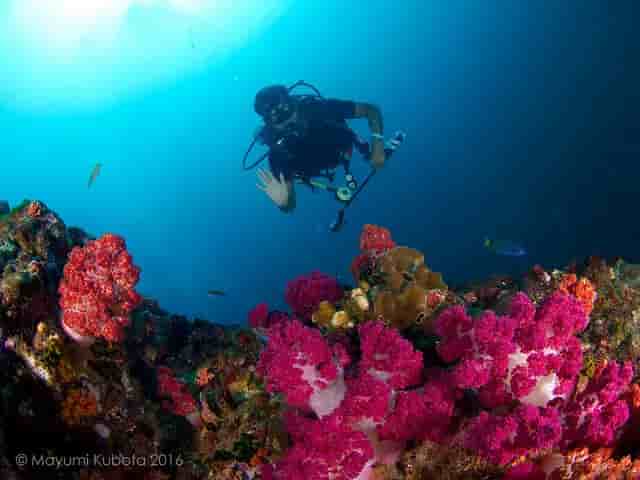 Thumbnail 4 Thumbnail 4