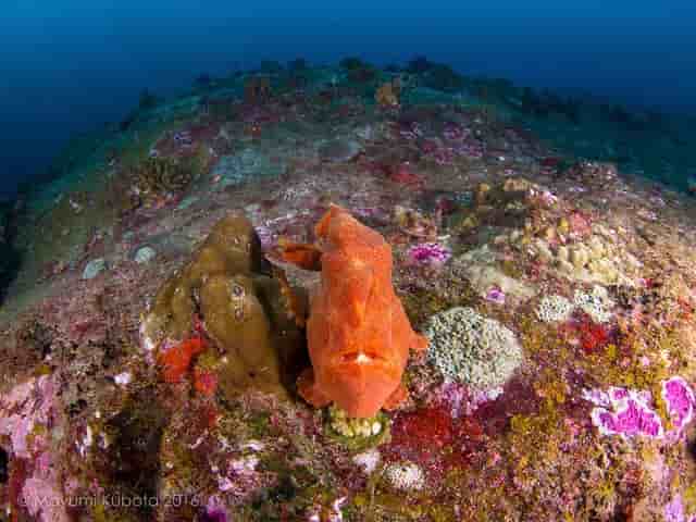 Thumbnail 5 Thumbnail 5