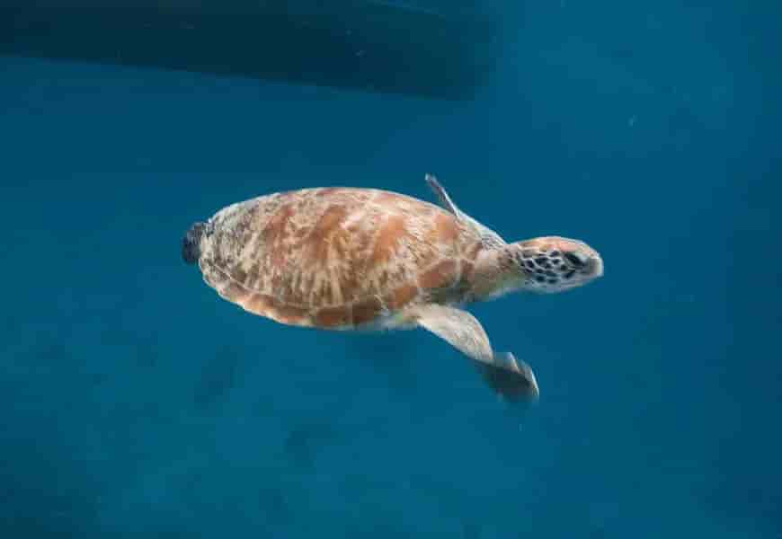 Thumbnail 3 Thumbnail 3