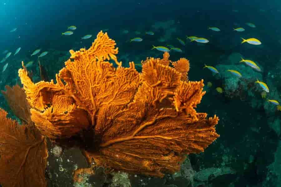 Thumbnail 11 Thumbnail 11