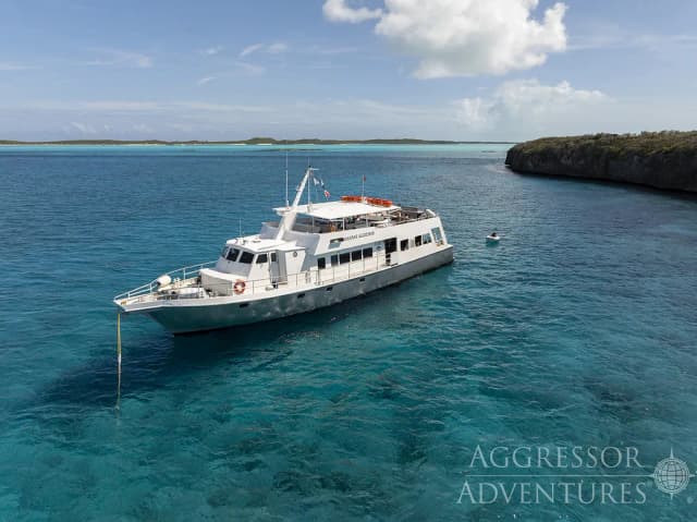 Bahamas Aggressor I Bahamas Aggressor I