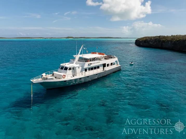 Belize Aggressor V - image Belize Aggressor V - image