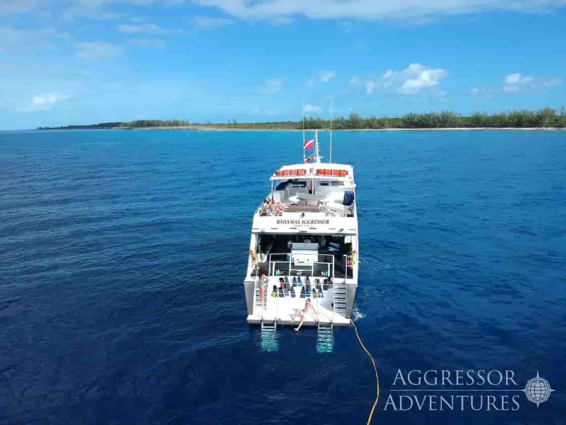 Thumbnail 2 Thumbnail 2