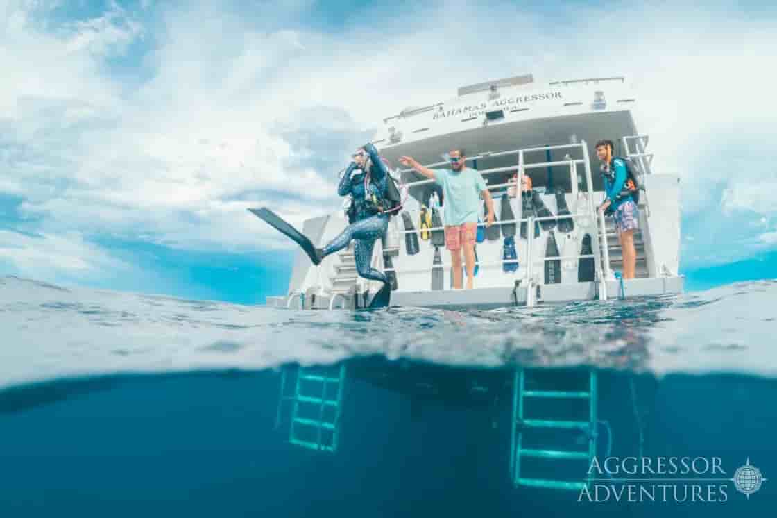 Thumbnail 3 Thumbnail 3