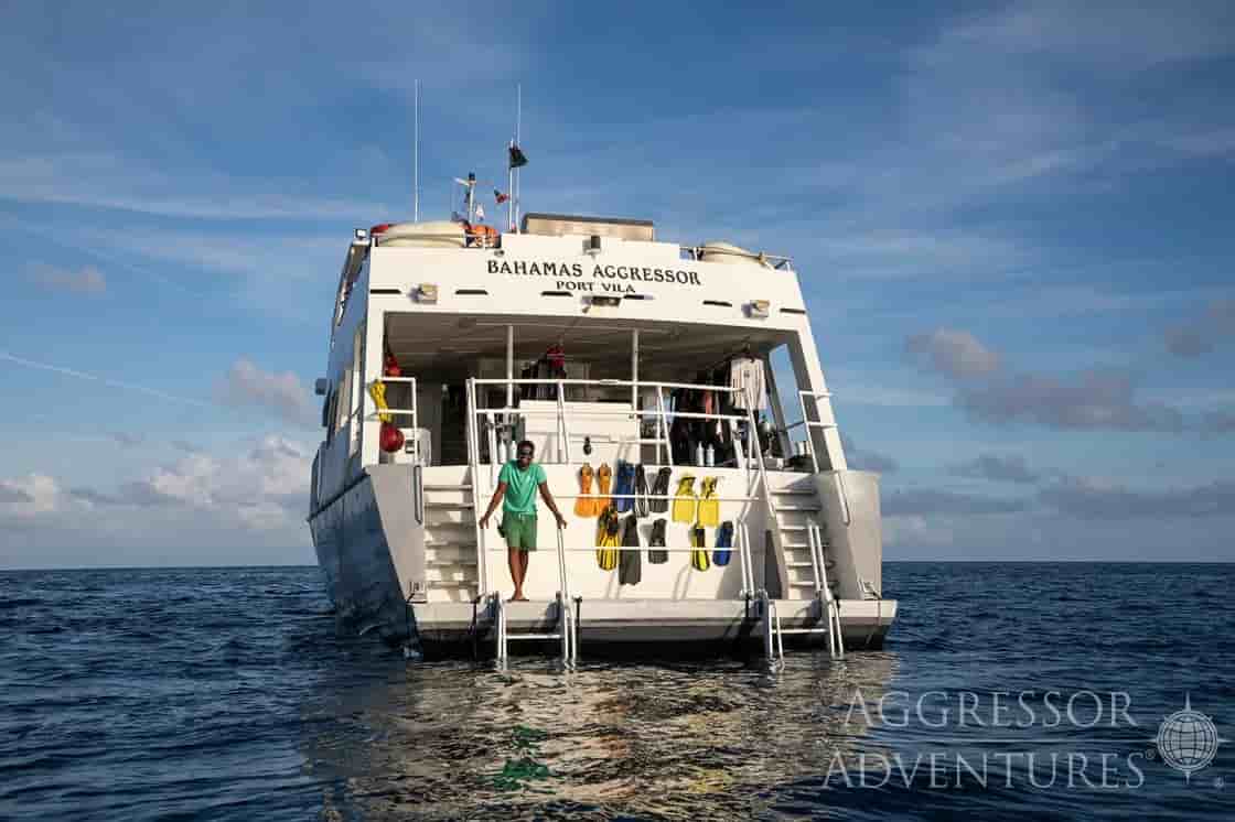 Thumbnail 5 Thumbnail 5