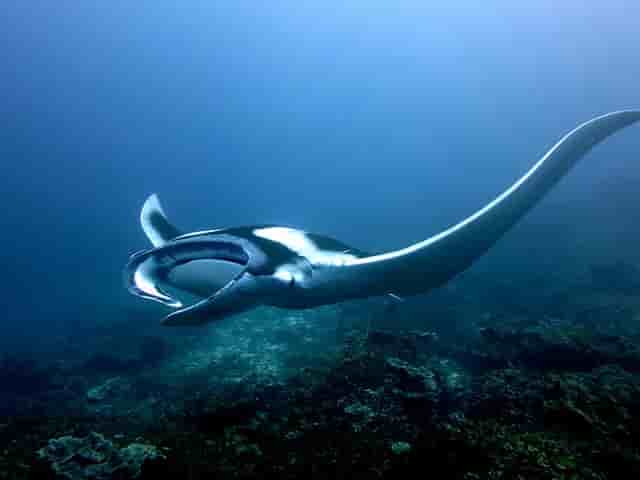 Thumbnail 1 Thumbnail 1