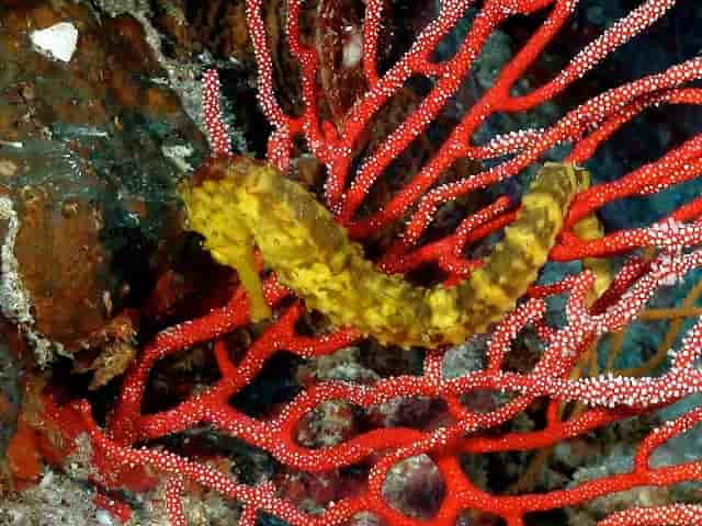 Thumbnail 3 Thumbnail 3