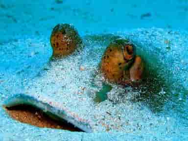 Thumbnail 4 Thumbnail 4