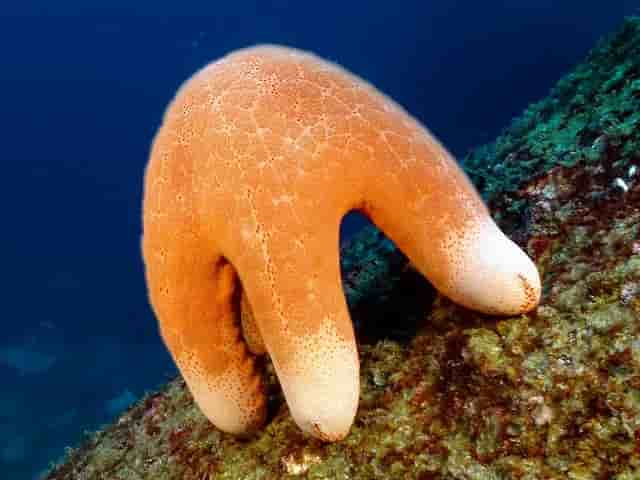 Thumbnail 6 Thumbnail 6