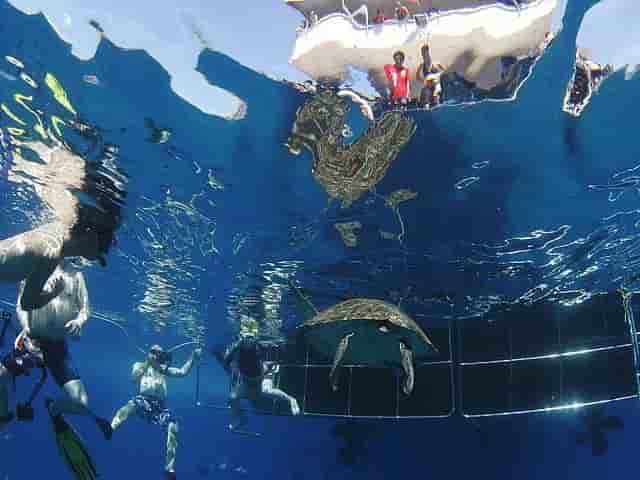 Thumbnail 1 Thumbnail 1