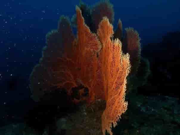 Thumbnail 3 Thumbnail 3