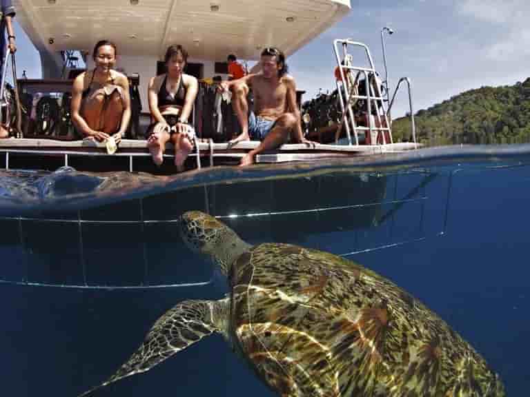 Thumbnail 6 Thumbnail 6