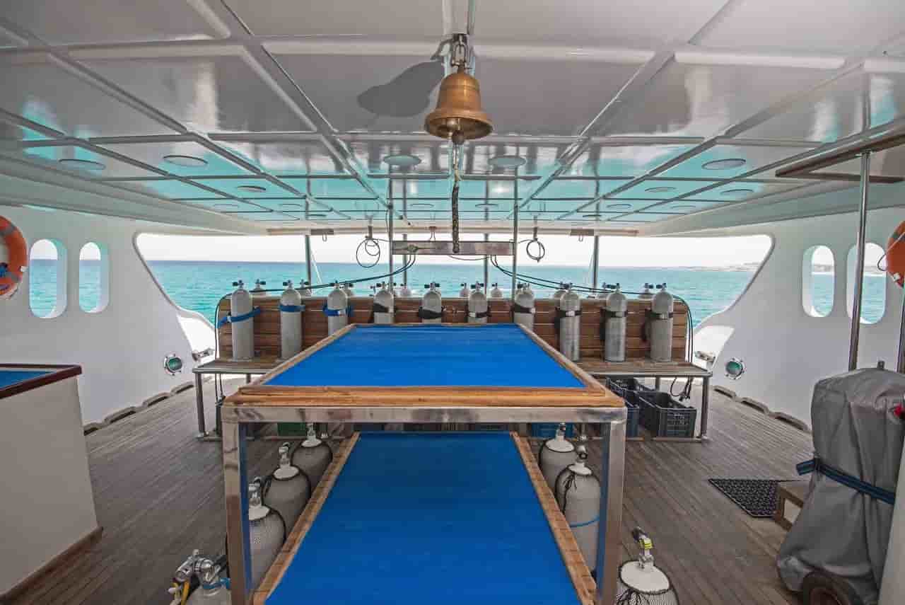 Thumbnail 4 Thumbnail 4