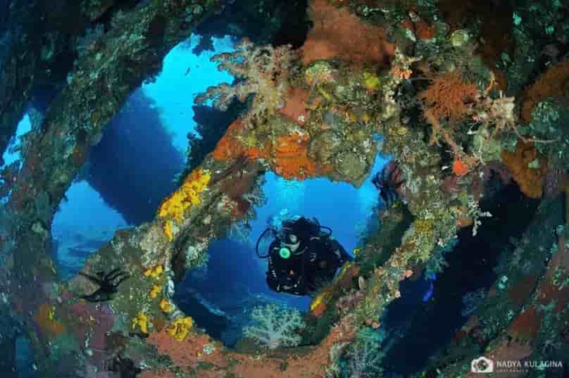 Thumbnail 3 Thumbnail 3